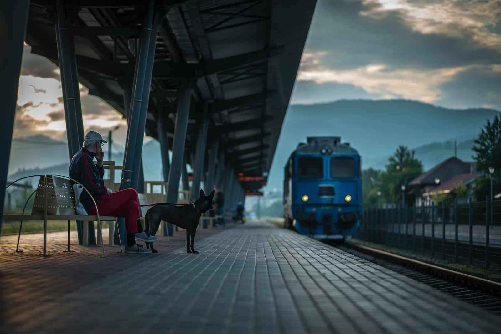 Prendre le TGV avec son chien
