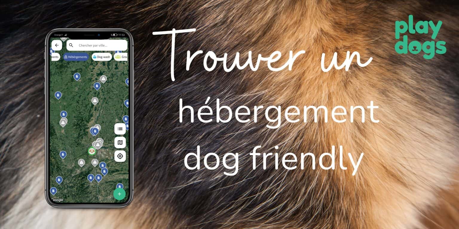 Trouver un Hôtel qui accepte les Chiens mode d'emploi 📃