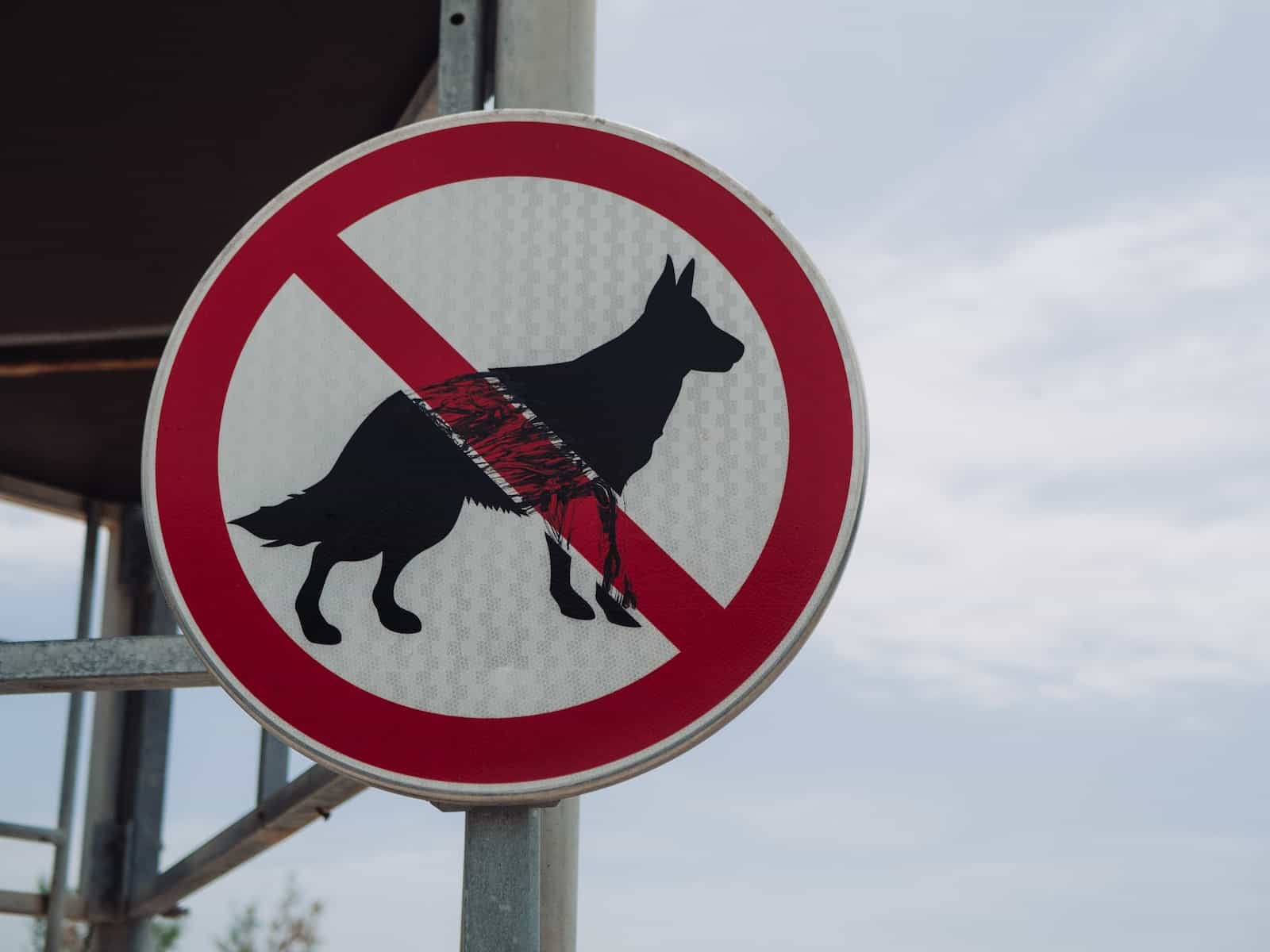 Peut-on interdire un chien en location ?
