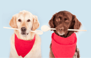 Deux chiens au restaurant à Lyon