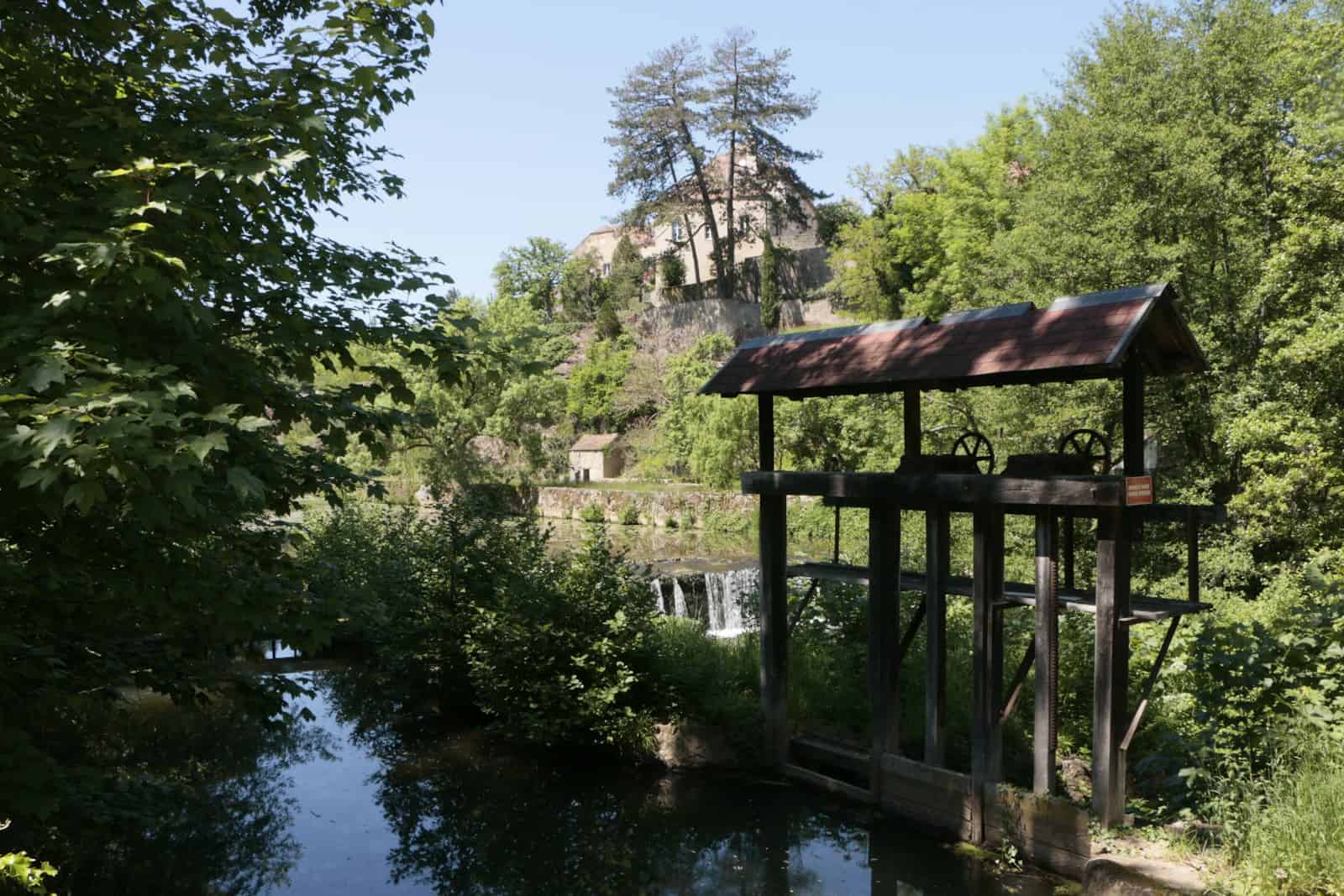 Morvan avec son chien