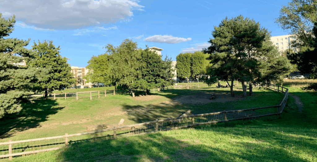 parc chien rouen