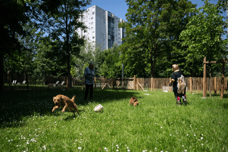 parc à chien Lille Jules Vallès
